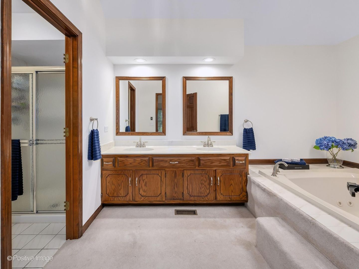 1799 Denison Road Naperville, IL 60565 - Photo 15 of 29