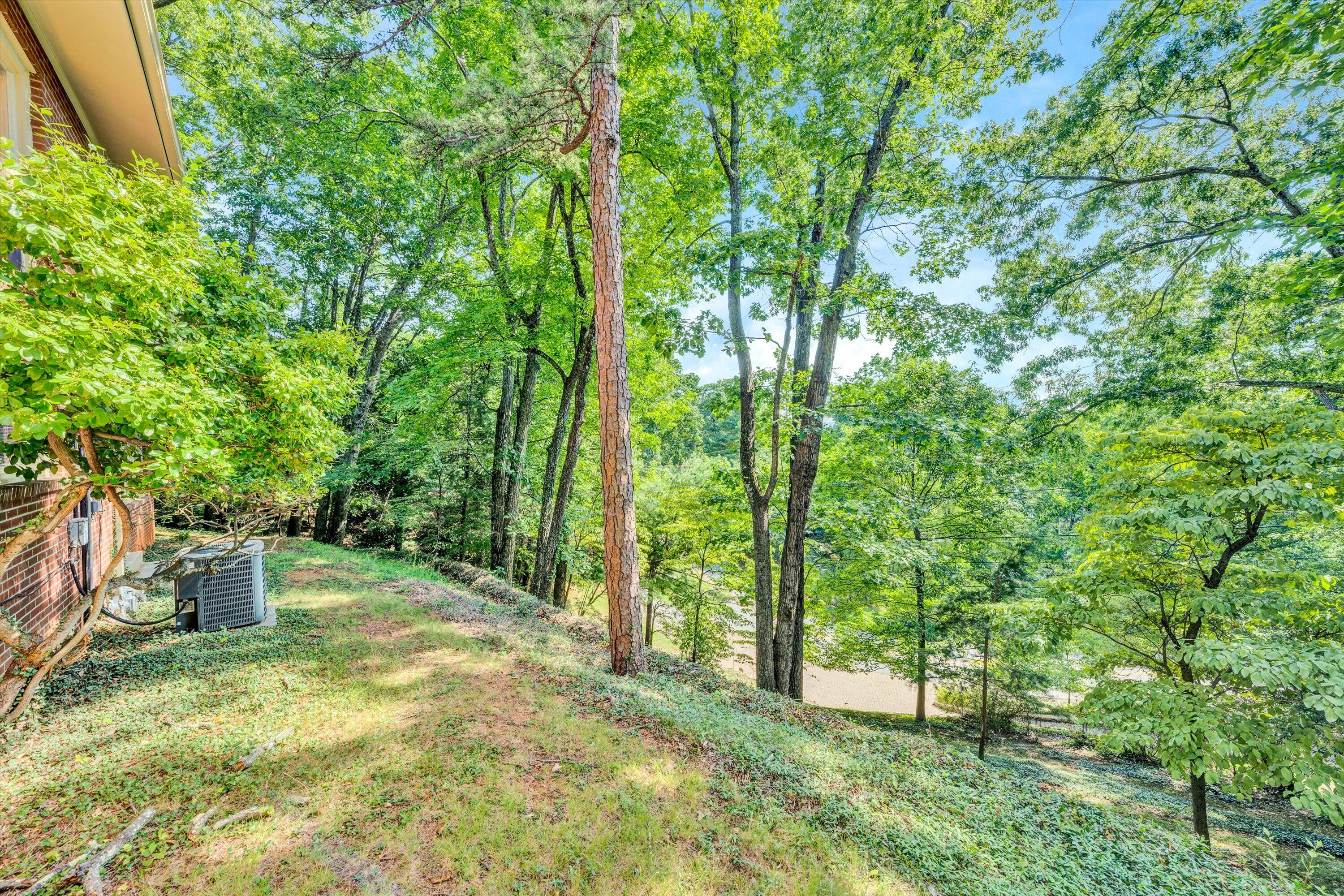 3418 West Ridge Road Southwest Roanoke, VA 24014 - Photo 26 of 34 27-071120240153