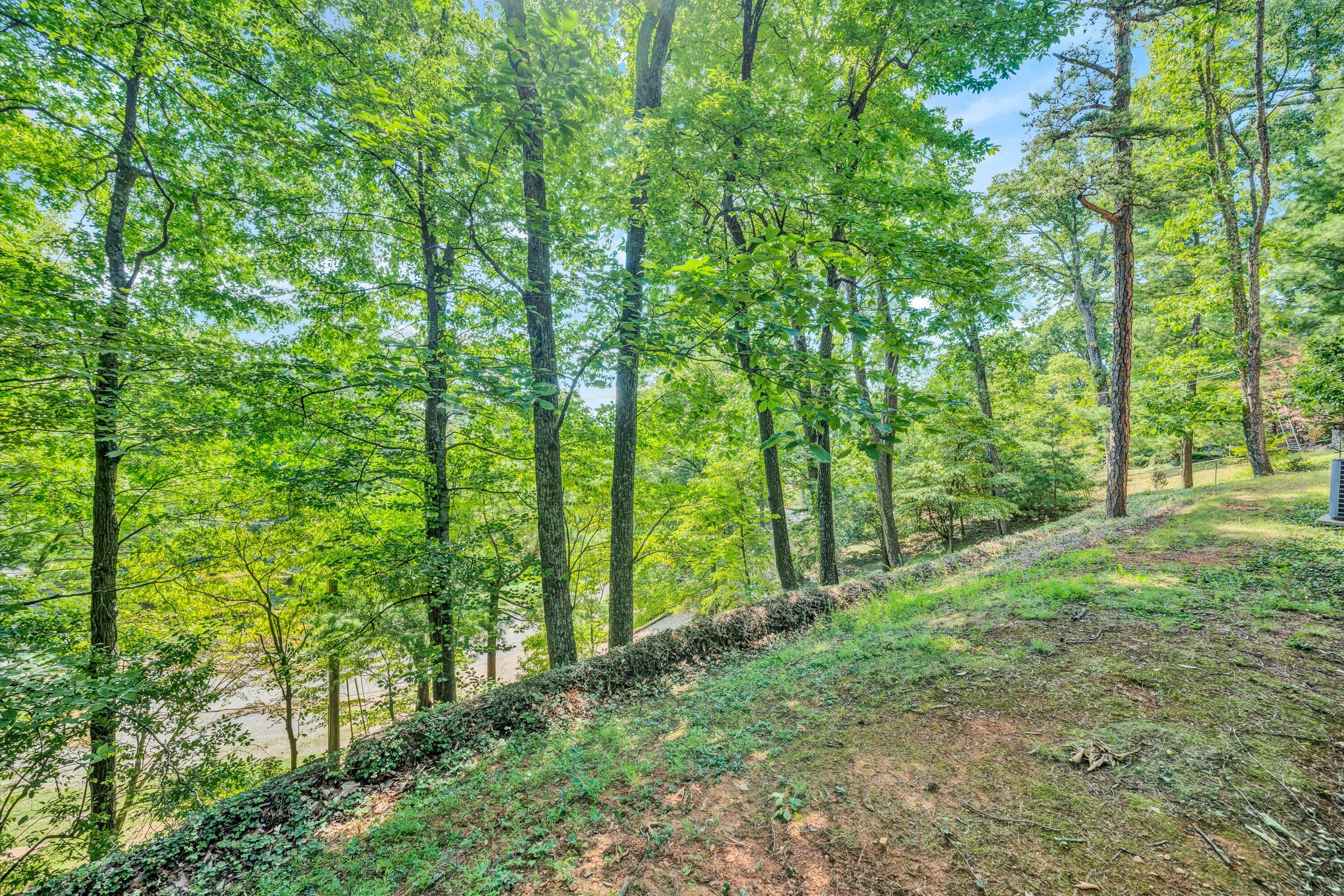 3418 West Ridge Road Southwest Roanoke, VA 24014 - Photo 29 of 34 30-071120240156