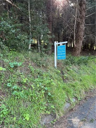 $95,000 | 767 Spring Unincorporated Ca, Whitethorn, CA 95589