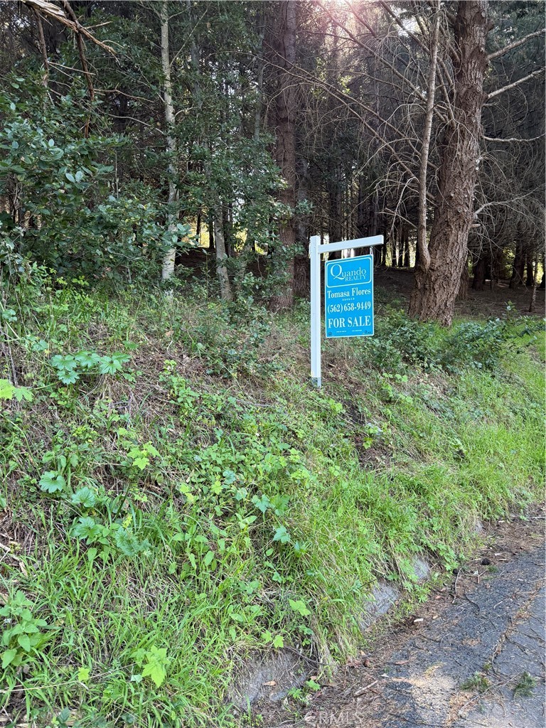 767 Spring Road Shelter Cove, CA 95589 - Photo 1 of 7