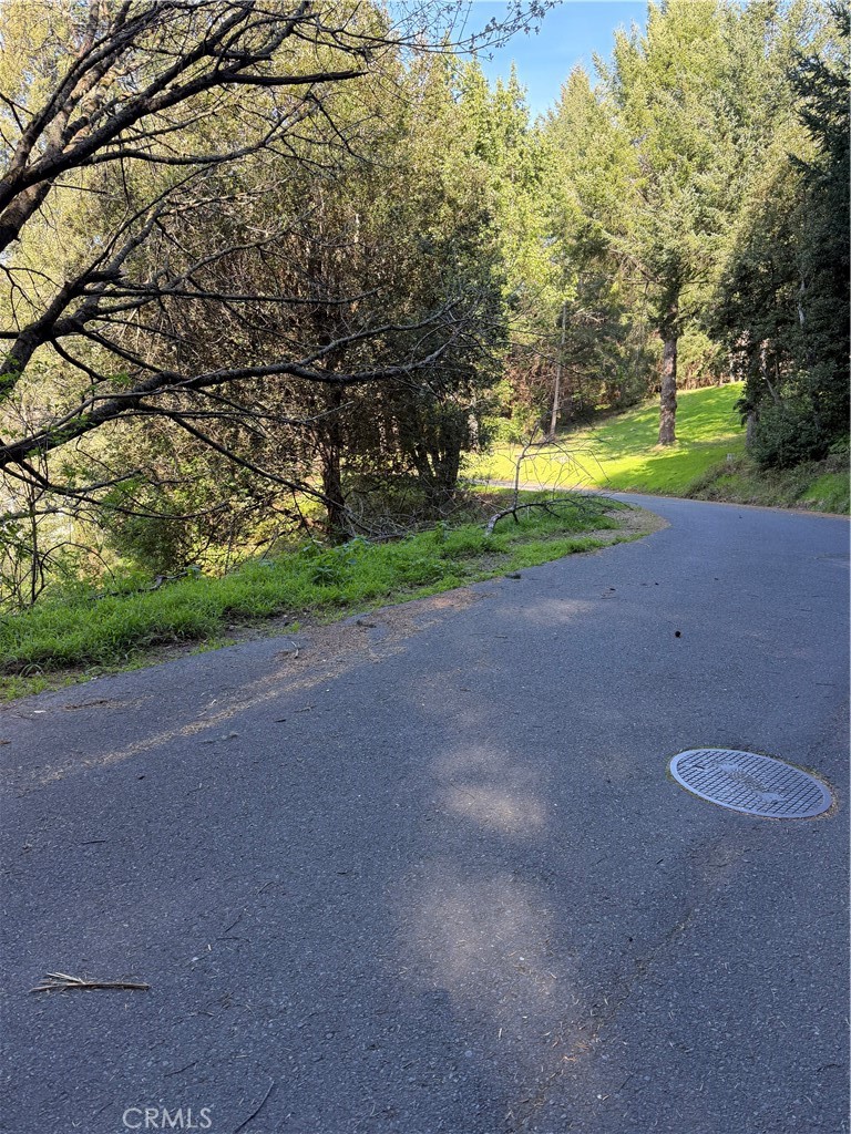 767 Spring Road Shelter Cove, CA 95589 - Photo 2 of 7