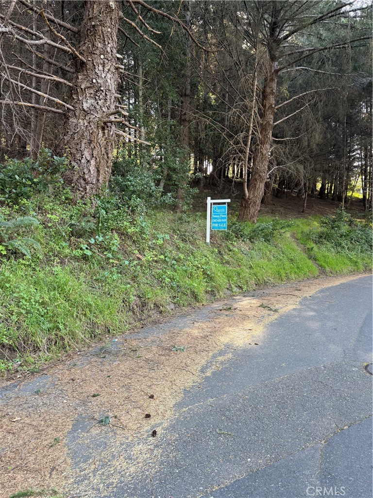 767 Spring Road Shelter Cove, CA 95589 - Photo 3 of 7