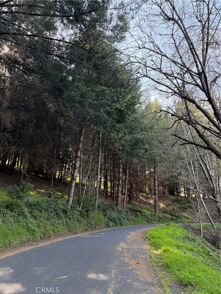 767 Spring Road Shelter Cove, CA 95589 - Photo 4 of 7