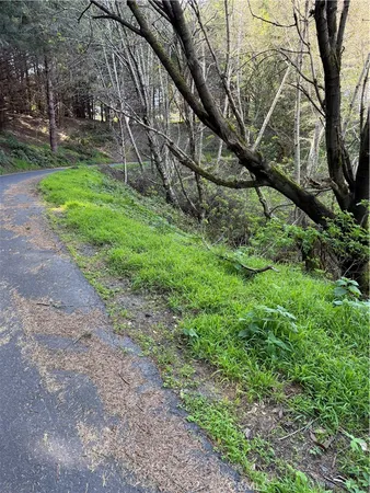 $95,000 | 767 Spring Unincorporated Ca, Whitethorn, CA 95589