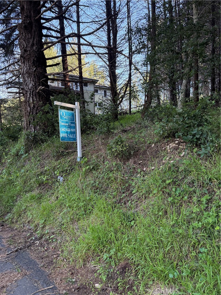 767 Spring Road Shelter Cove, CA 95589 - Photo 6 of 7