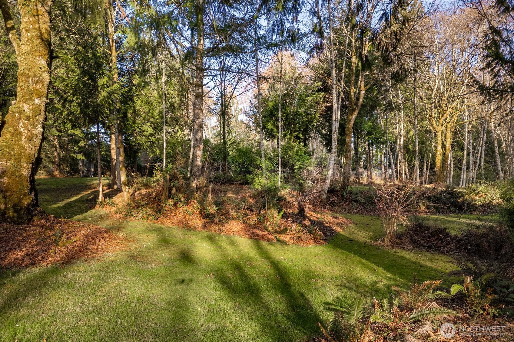 7626 78th Loop Northwest Olympia, WA 98502 - Photo 26 of 38 a view of yard with green space