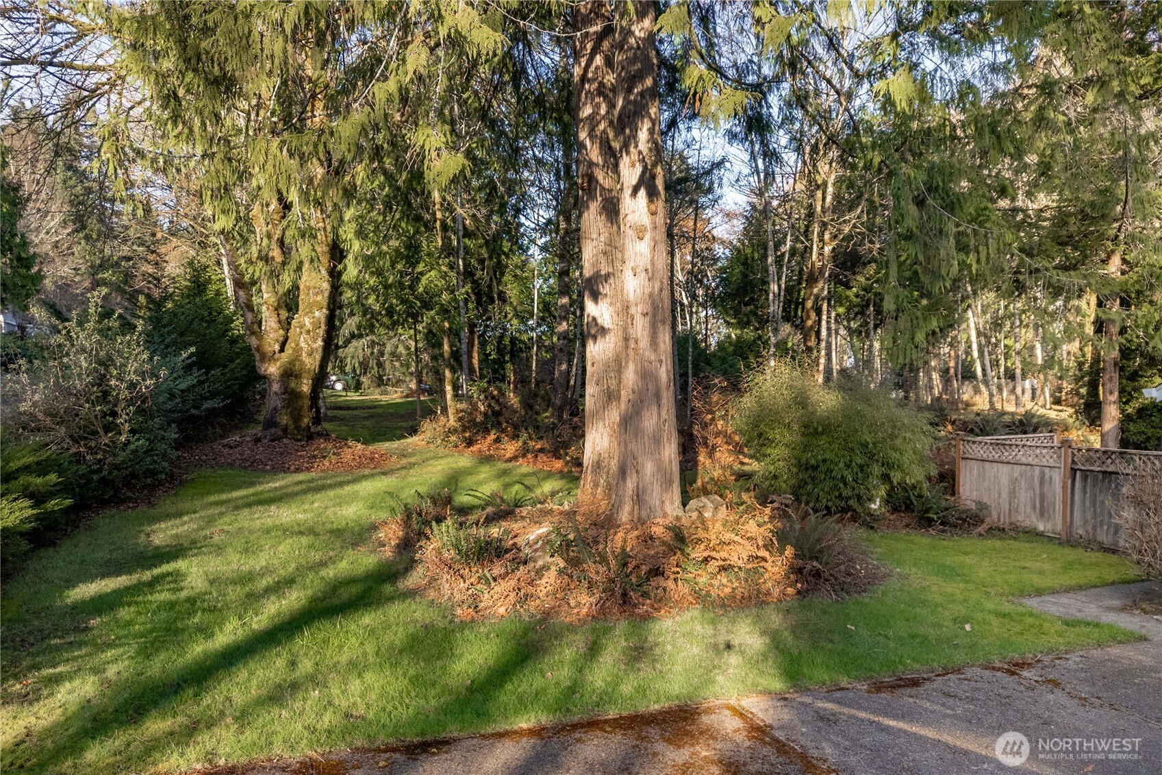 7626 78th Loop Northwest Olympia, WA 98502 - Photo 28 of 38 a view of backyard with green space