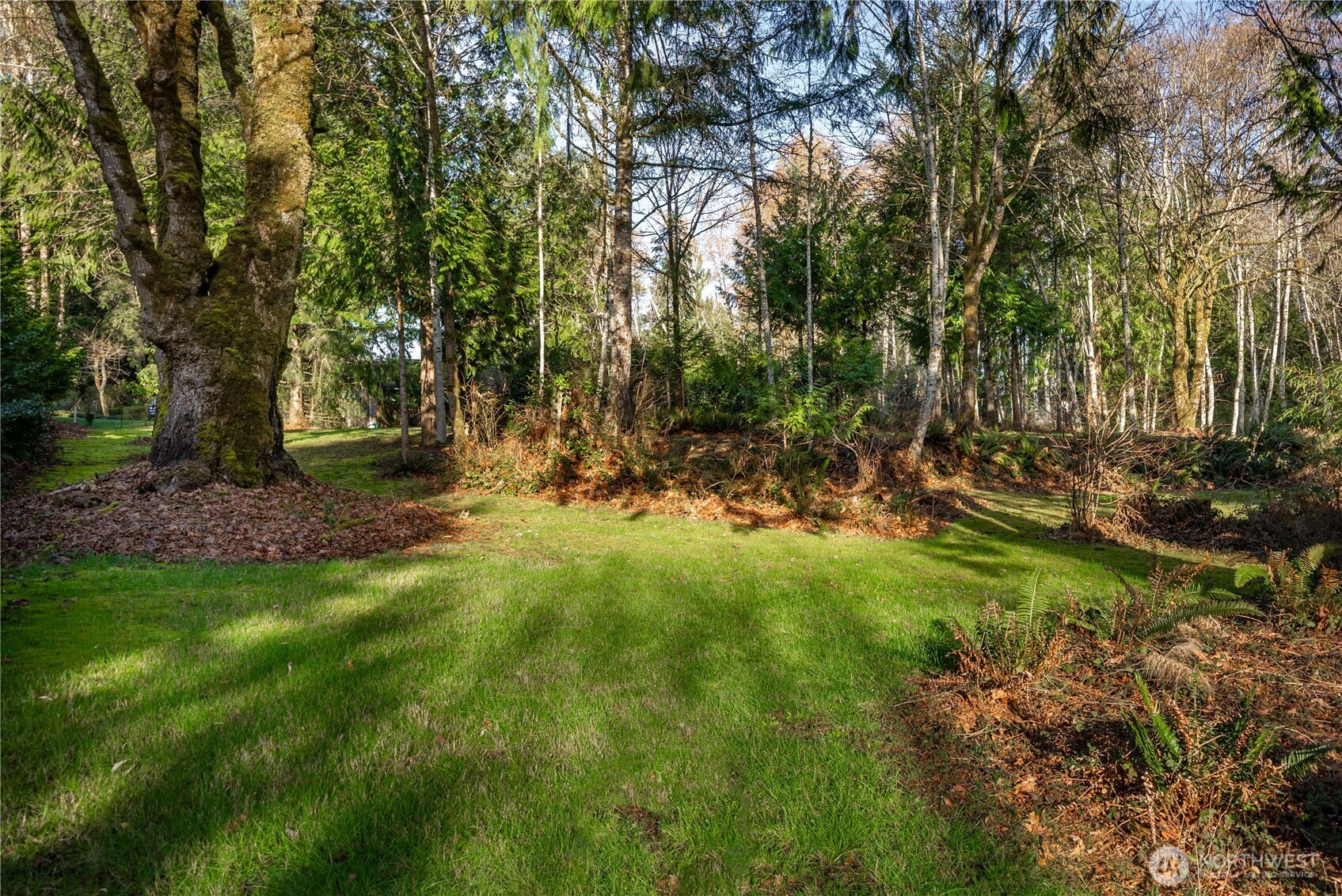 7626 78th Loop Northwest Olympia, WA 98502 - Photo 30 of 38 a view of outdoor space with deck and yard