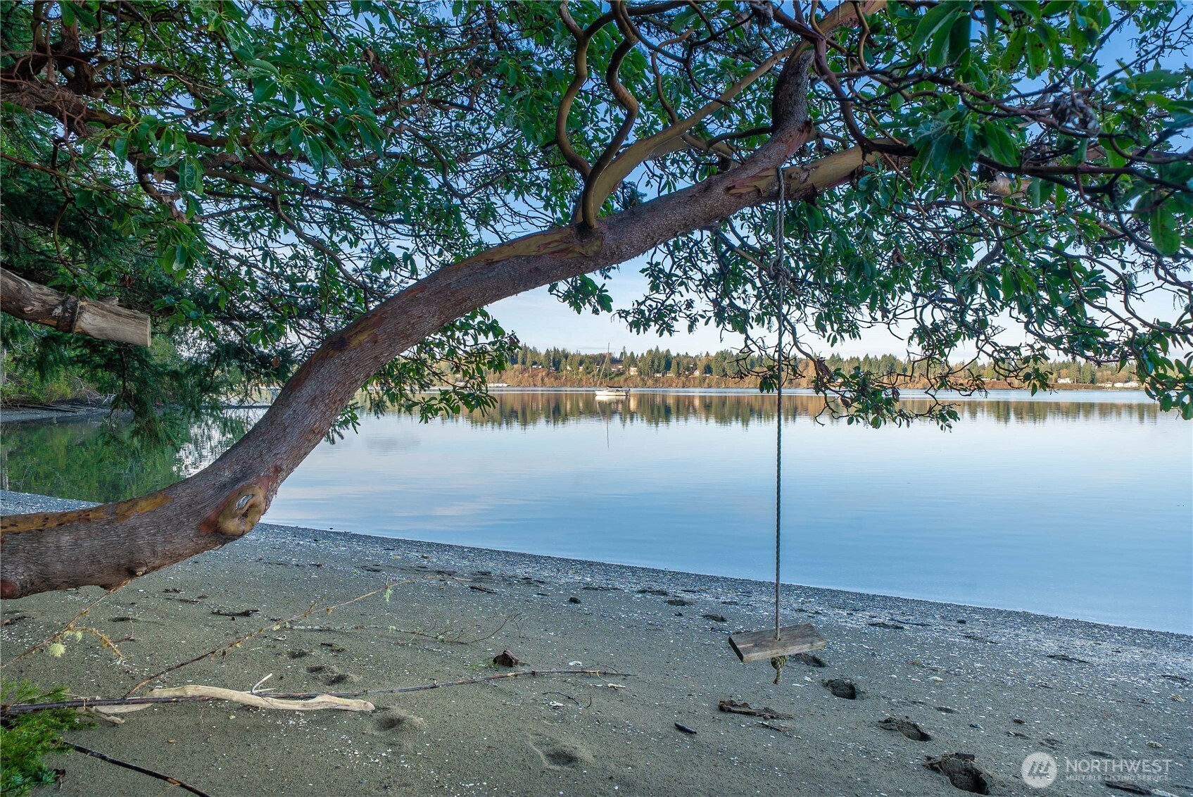 7626 78th Loop Northwest Olympia, WA 98502 - Photo 3 of 38 a view of a dry yard with trees