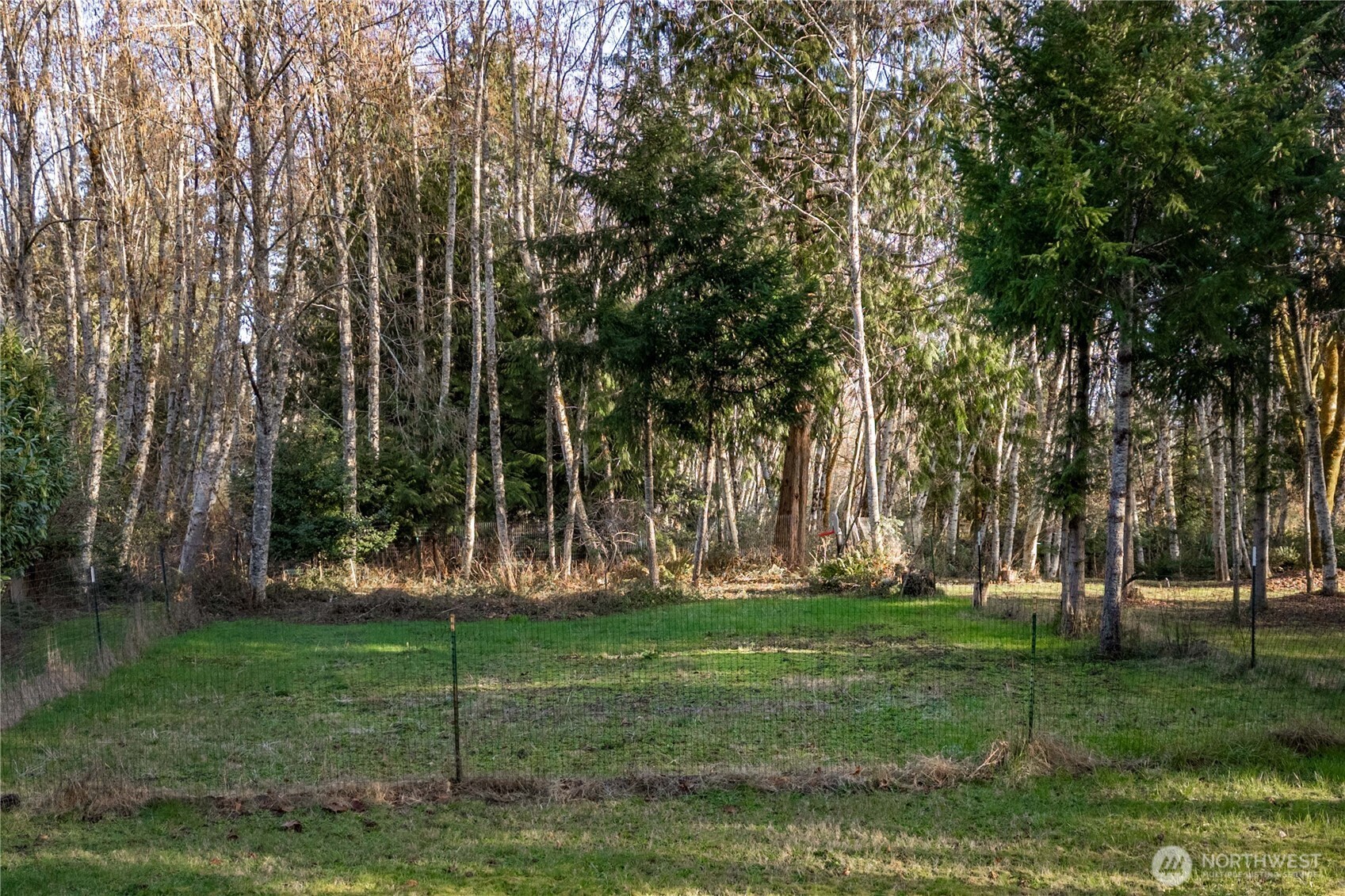 7626 78th Loop Northwest Olympia, WA 98502 - Photo 32 of 38 a view of a park