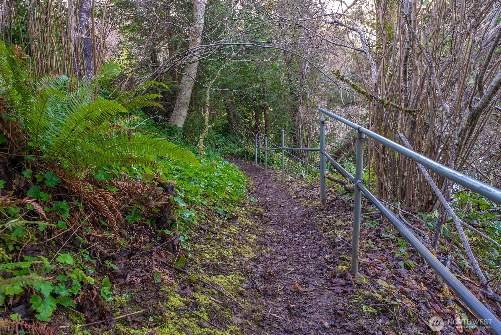 7626 78th Loop Northwest Olympia, WA 98502 - Photo 34 of 38 a balcony with wooden fence and trees