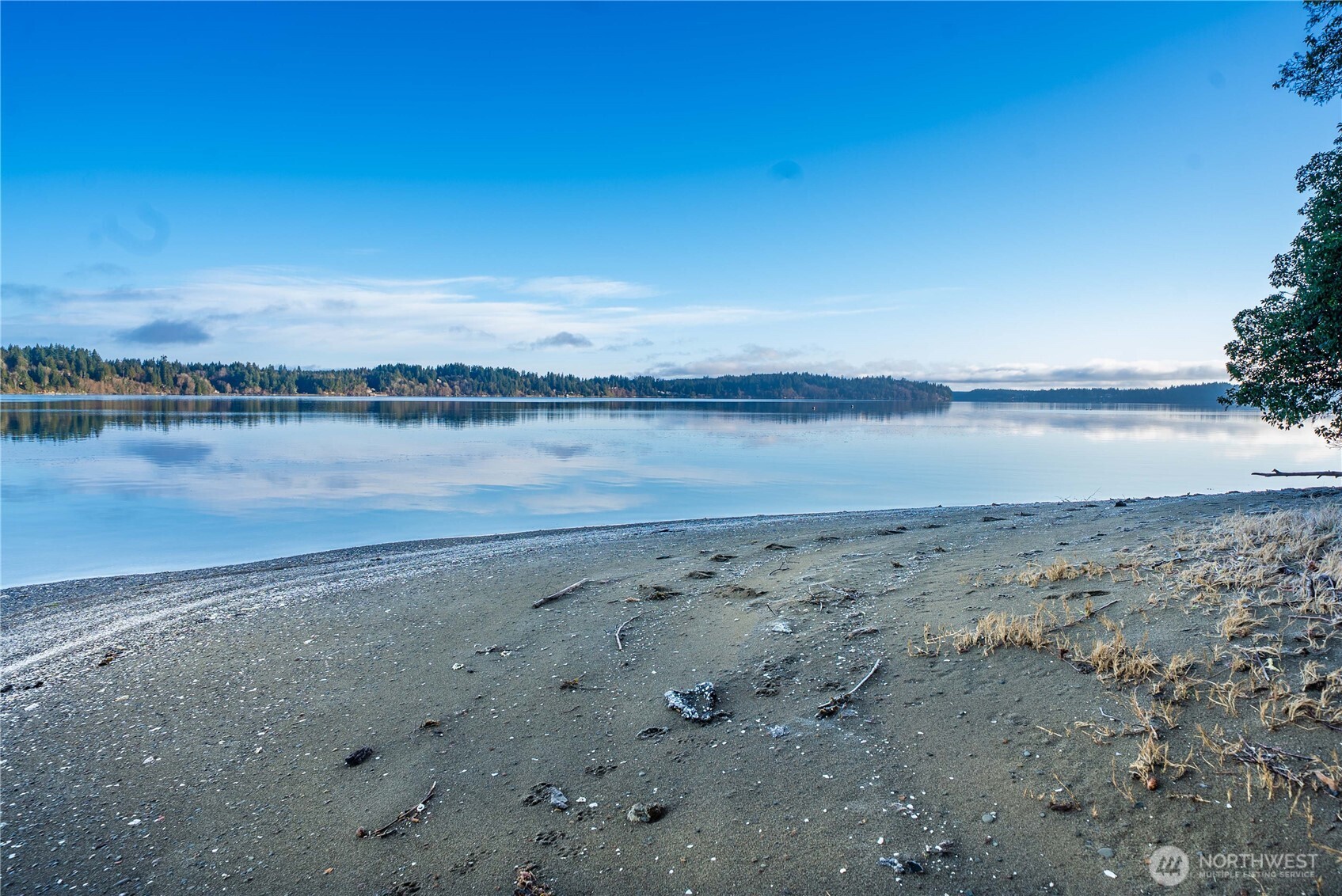 7626 78th Loop Northwest Olympia, WA 98502 - Photo 37 of 38 a view of an ocean beach