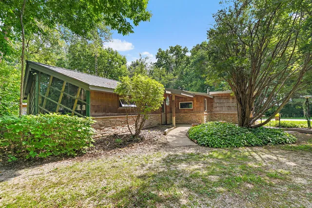 a backyard of a house with plants and large tree