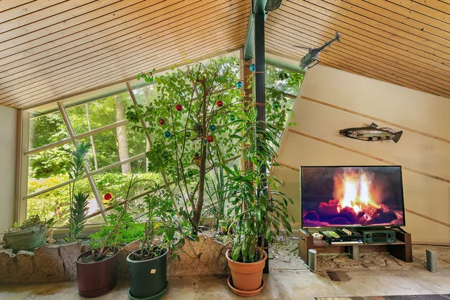 a potted plant sitting in front of a house