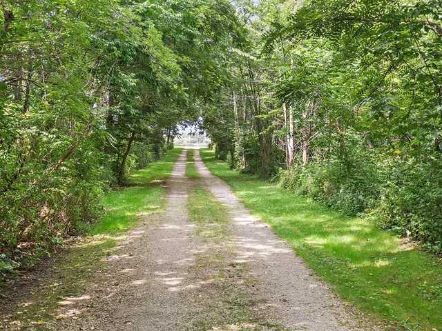 a view of yard with green space