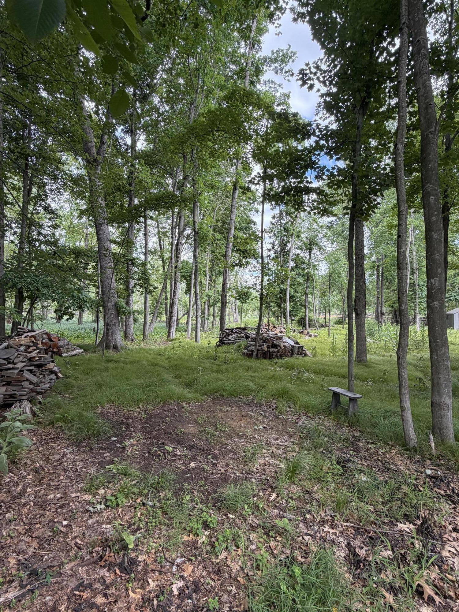4000 Woodland Road Jackson, MI 49203 - Photo 2 of 6 IMG_0158