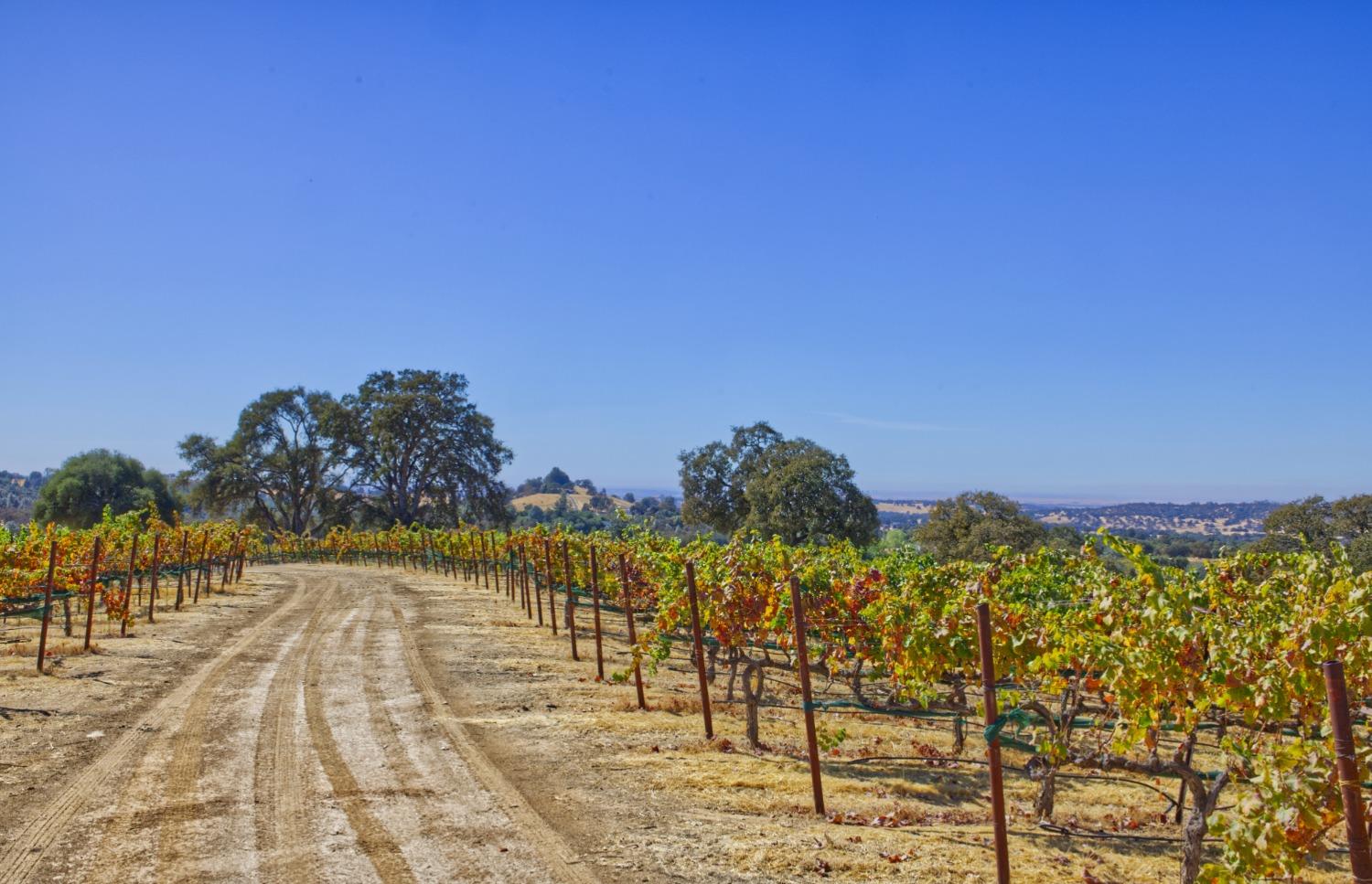 0 Veauta Road Plymouth, CA 95669 - Photo 2 of 11