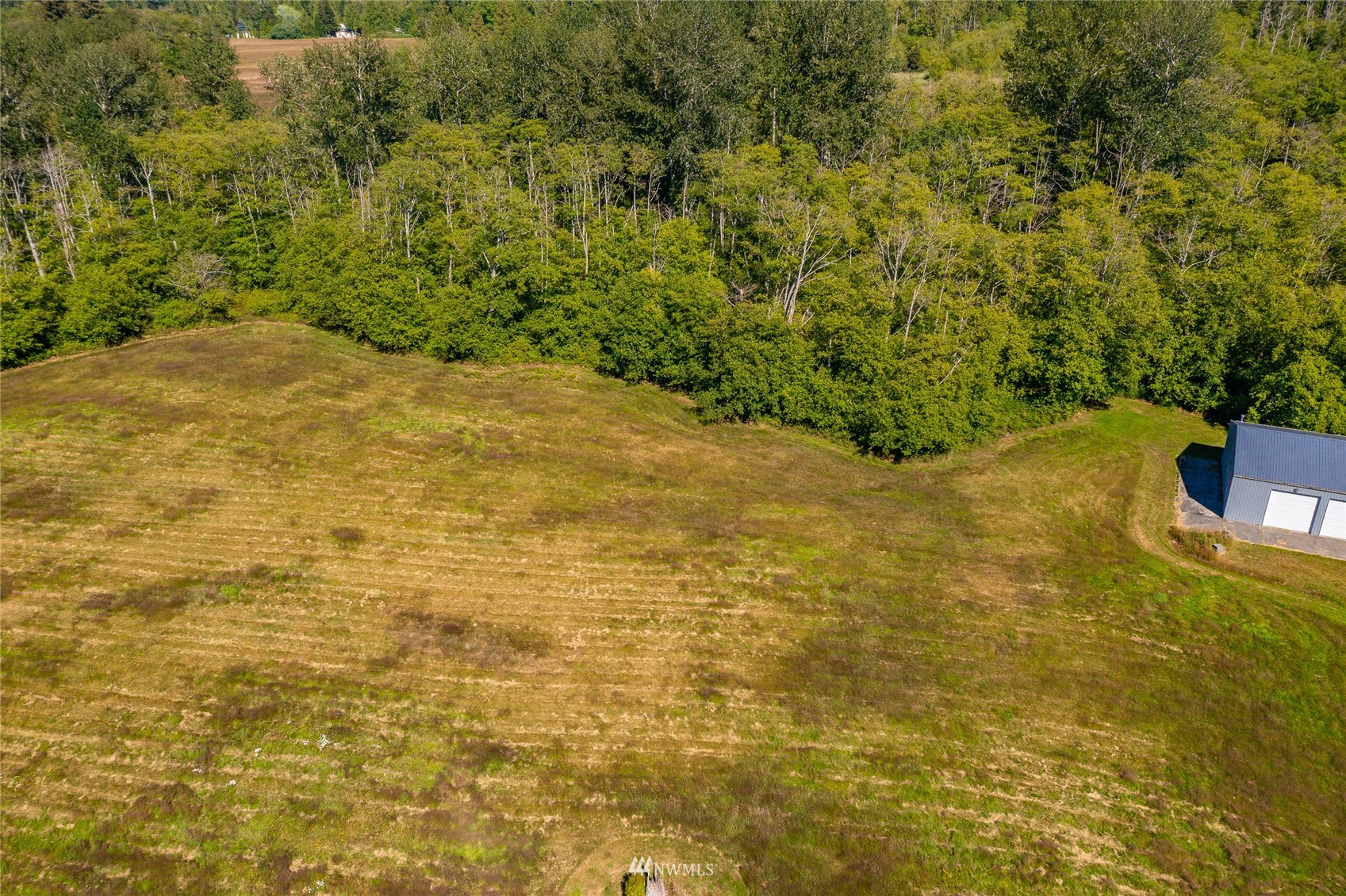 X Birch Point Road Blaine, WA 98230 - Photo 31 of 32 a view of a yard