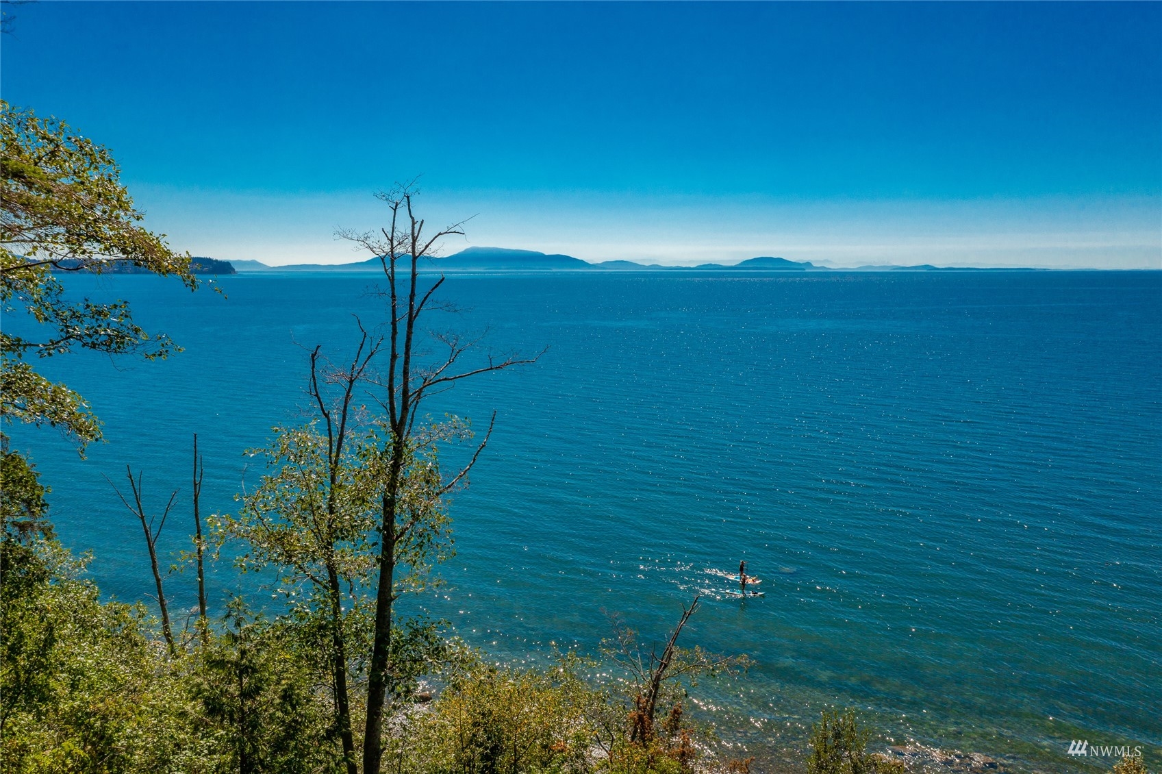 X Birch Point Road Blaine, WA 98230 - Photo 4 of 32 a view of a yard with a tree