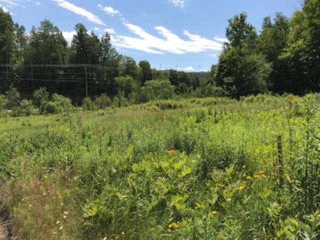 45 Rickaby Road Lowell, VT 05847 - Photo 5 of 5