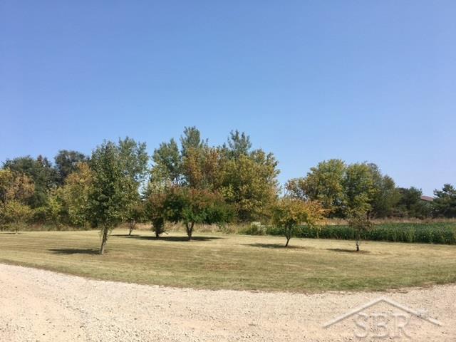 7082 East Burt Road Birch Run, MI 48415 - Photo 33 of 34 31330652-32.JPG