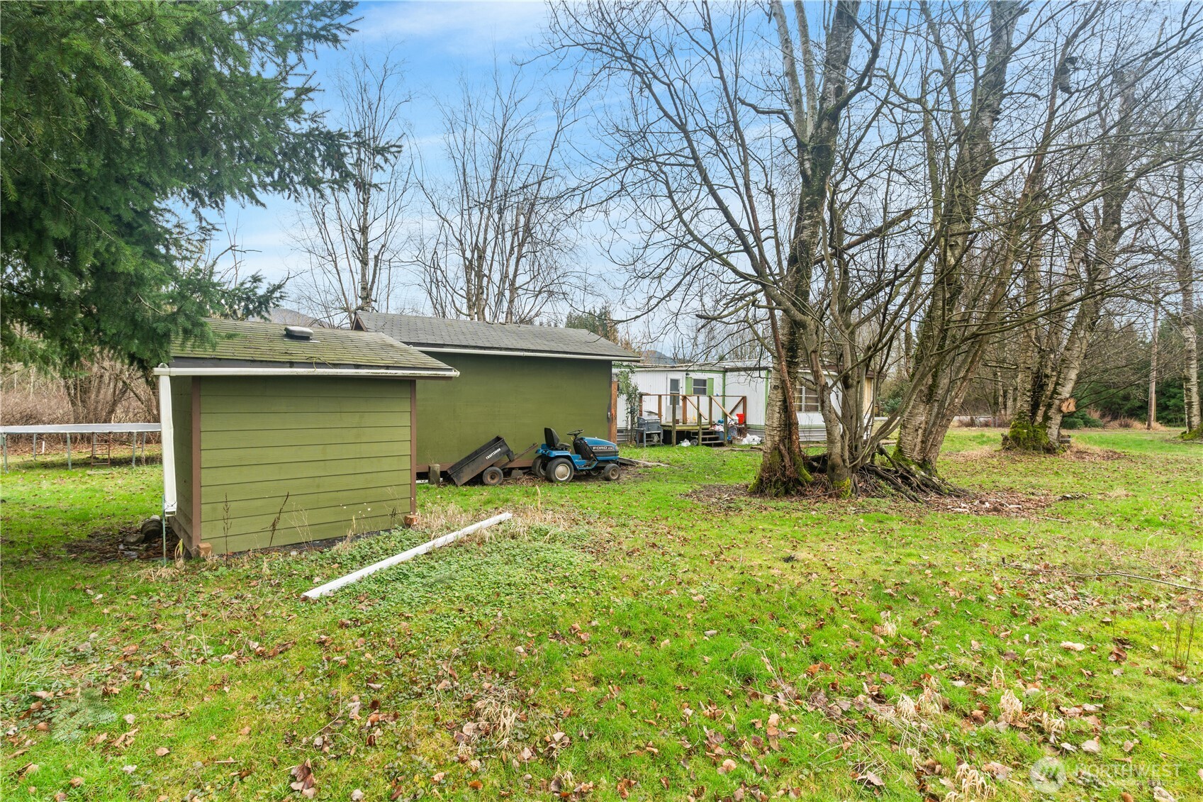 3090 Cole Road Everson, WA 98247 - Photo 16 of 22 a view of a backyard with plants and a large tree