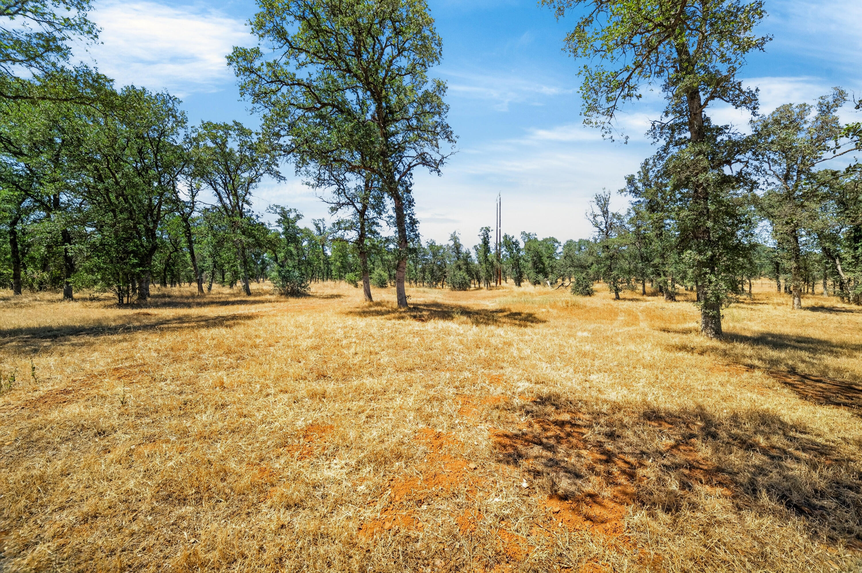 19720 Gas Point Road Cottonwood, CA 96022 - Photo 44 of 50 Backyard