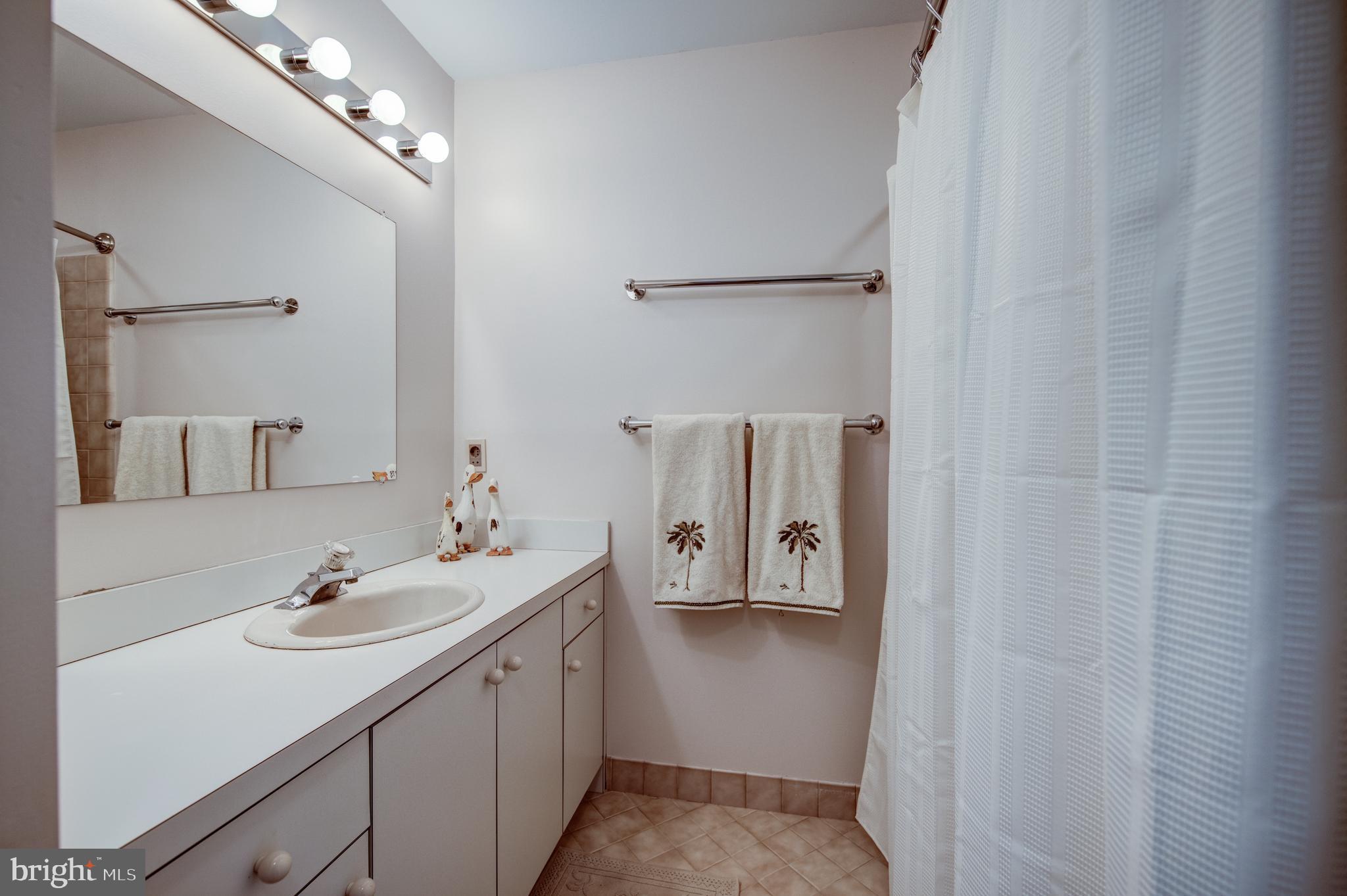 242 Ravenscliff Road Wayne, PA 19087 - Photo 40 of 49 a bathroom with a sink and mirror