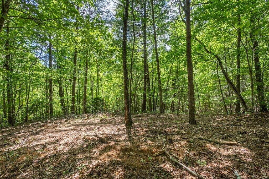 20 Pack Mountain Road Murphy, NC 28906 - Photo 2 of 20 Gallery Image 2