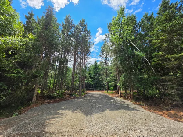 $124,900 | 20-acres Adams Road, Bruce, WI 54819