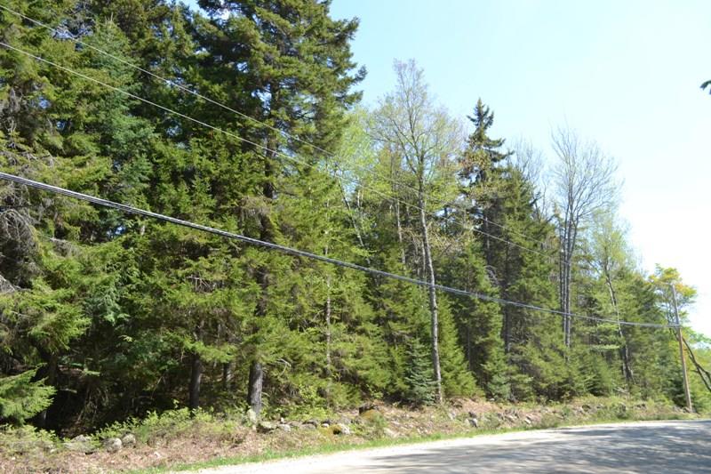 Lot #2 Hitchcock Hill Road Windham, VT 05359 - Photo 1 of 1