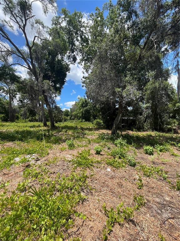 42 County Road Umatilla, FL 32784 - Photo 5 of 8