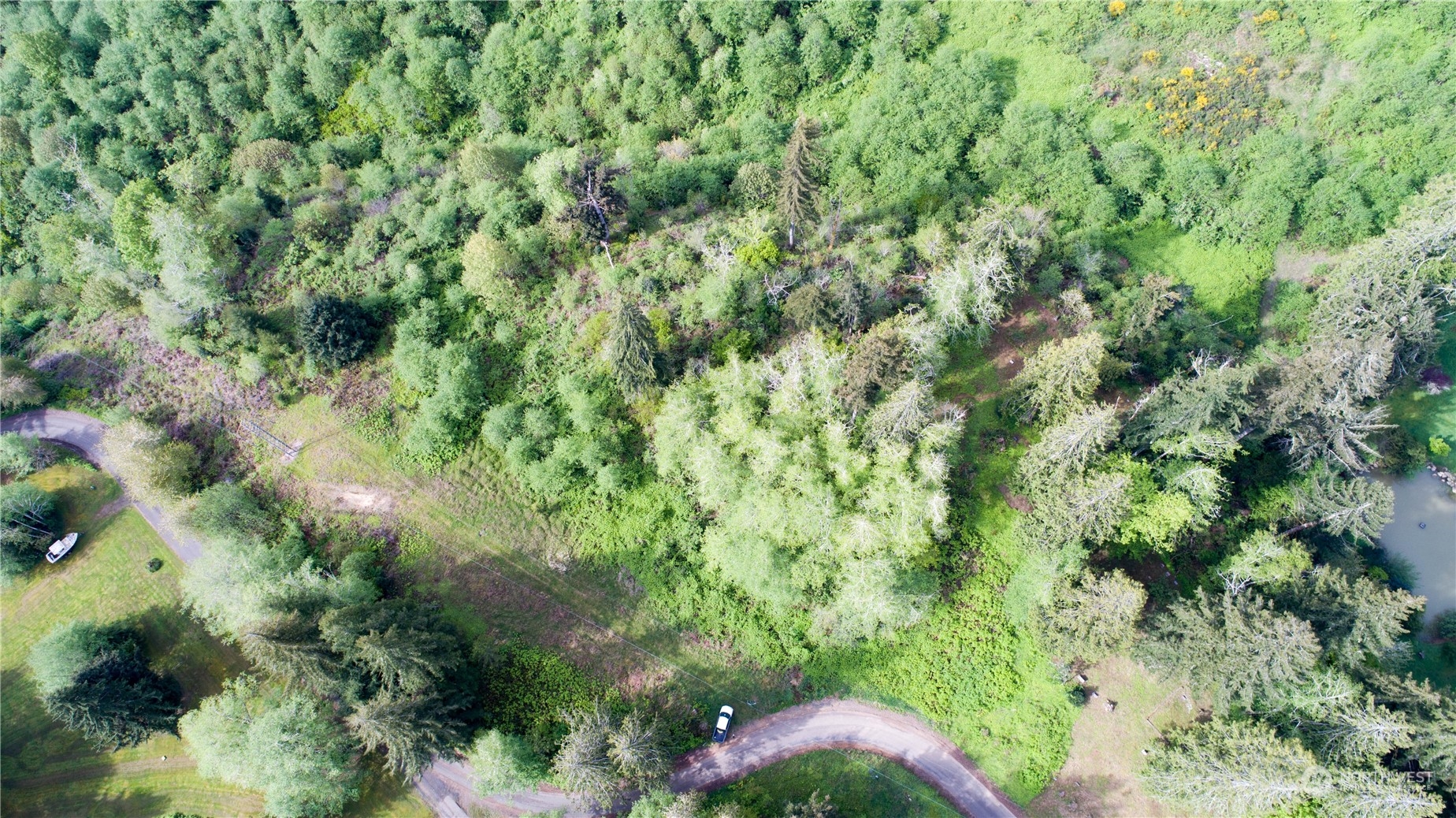 1111 Washington Cemetery Road Raymond, WA 98577 - Photo 1 of 23 a view of a yard