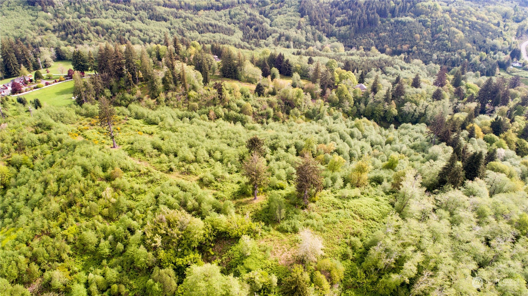 1111 Washington Cemetery Road Raymond, WA 98577 - Photo 12 of 23 a view of a bunch of trees and bushes