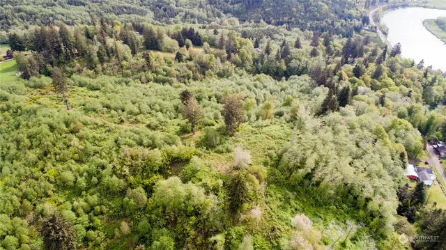 a view of a bunch of trees and bushes