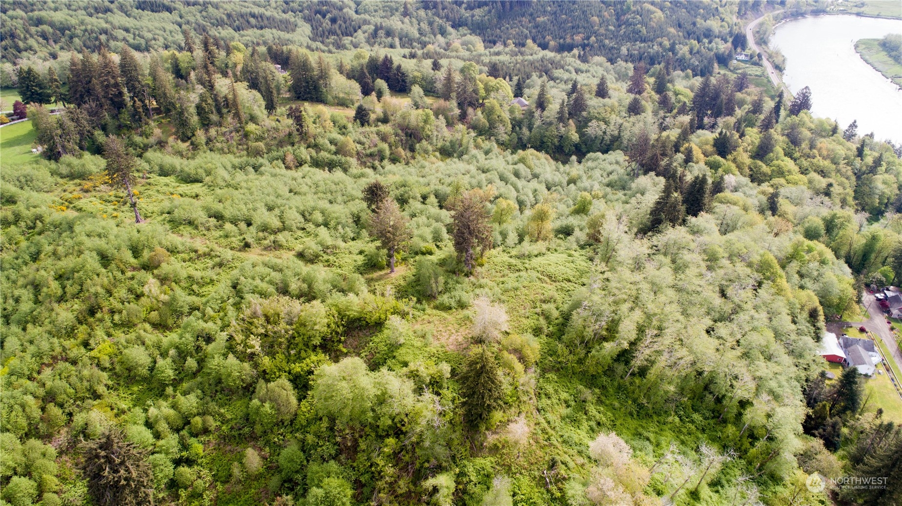 1111 Washington Cemetery Road Raymond, WA 98577 - Photo 13 of 23 a view of a bunch of trees and bushes