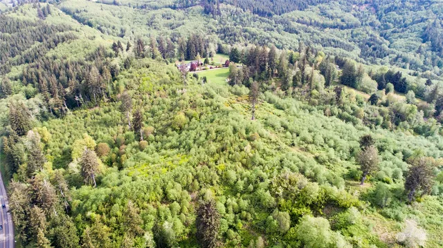 a view of a bunch of trees and bushes