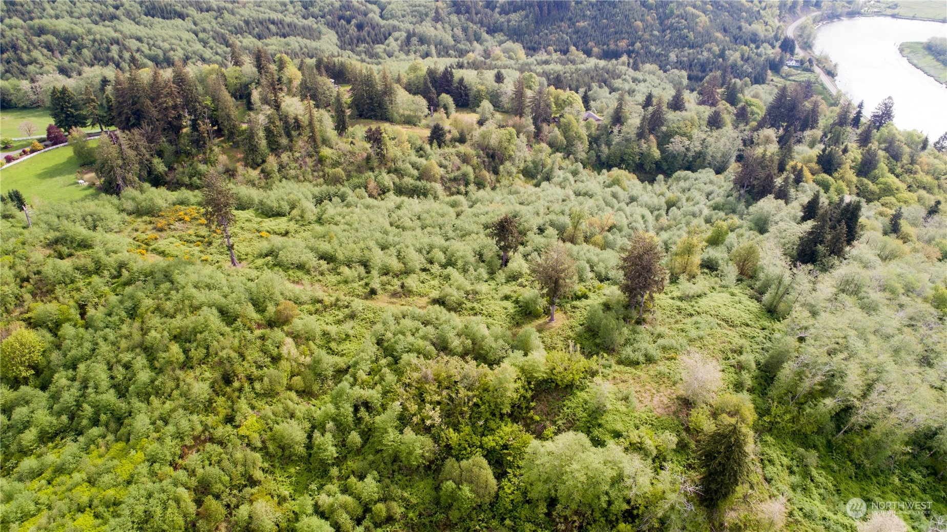 1111 Washington Cemetery Road Raymond, WA 98577 - Photo 15 of 23 a view of a bunch of trees and bushes