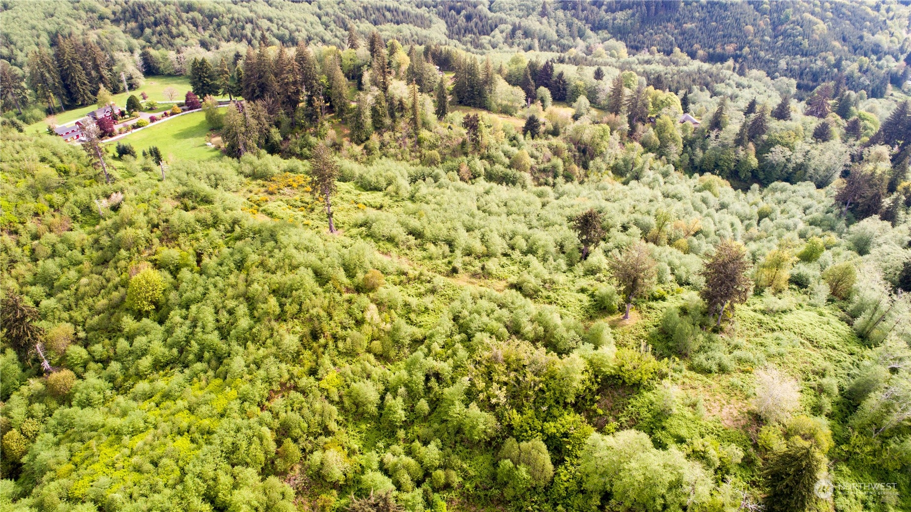1111 Washington Cemetery Road Raymond, WA 98577 - Photo 16 of 23 a close up of a sink