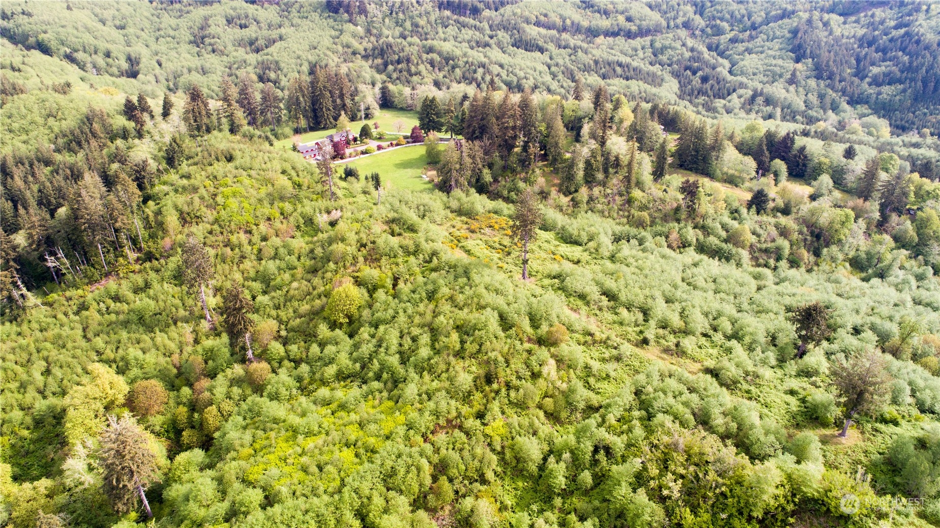 1111 Washington Cemetery Road Raymond, WA 98577 - Photo 17 of 23