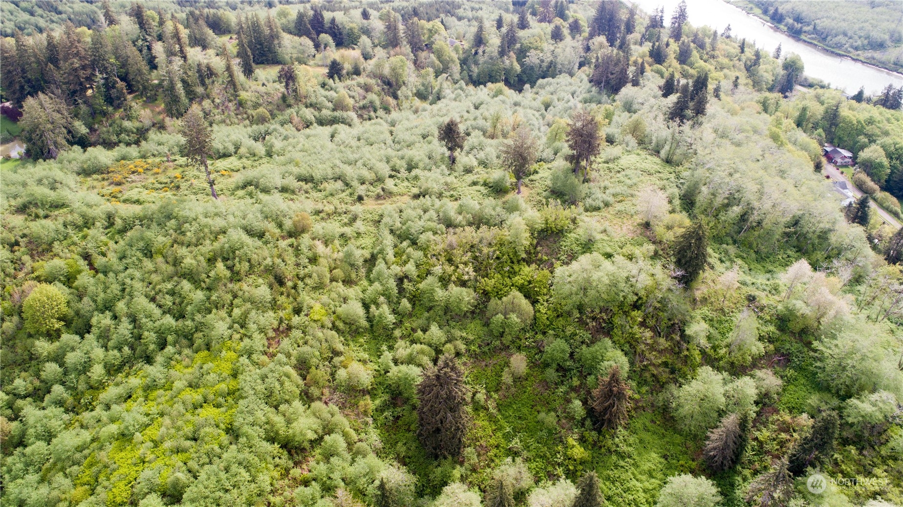 1111 Washington Cemetery Road Raymond, WA 98577 - Photo 19 of 23 a view of a bunch of trees and bushes
