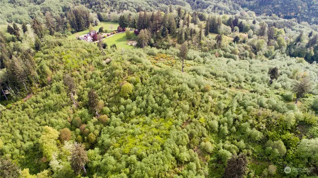 an aerial view of residential house with outdoor space and trees all around