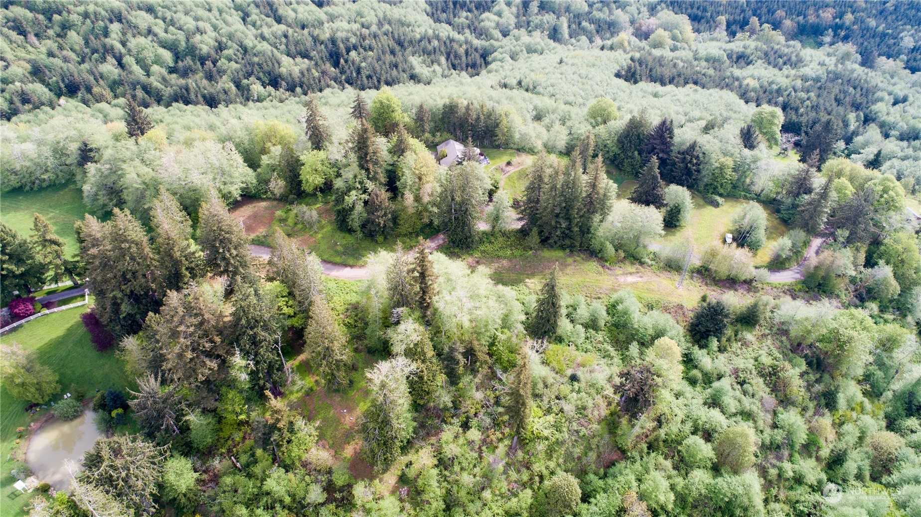 1111 Washington Cemetery Road Raymond, WA 98577 - Photo 21 of 23 a view of a forest with a houses