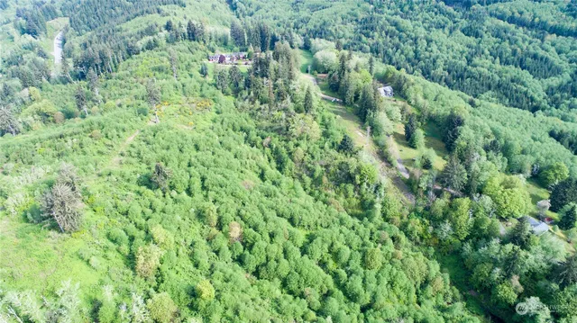 a view of a lush green forest with lots of trees