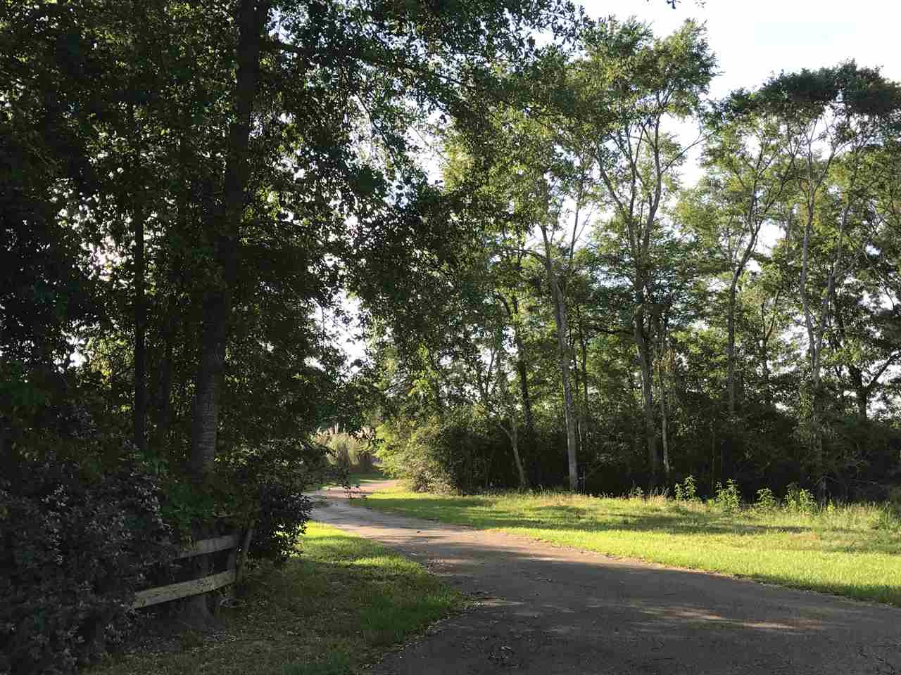 1601 Mannsdale Road Madison, MS 39110 - Photo 6 of 6 Photo 6