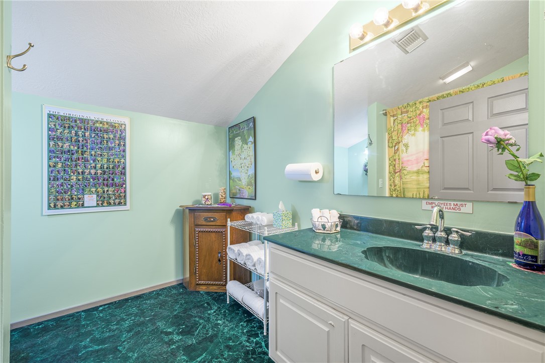 1441 Salem Road Brenham, TX 77833 - Photo 17 of 34 Bathroom with lofted ceiling, vanity, a shower with curtain, and a textured ceiling