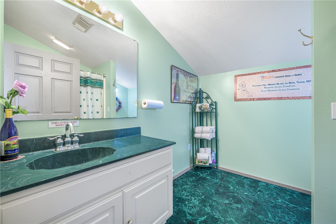 1441 Salem Road Brenham, TX 77833 - Photo 25 of 34 Full bathroom featuring vaulted ceiling, vanity, a shower with curtain, and a textured ceiling