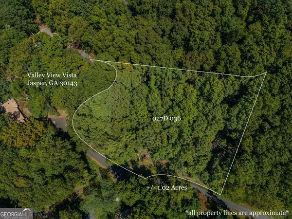 $20,000 | 0 Valley View Vista, Jasper, GA 30143