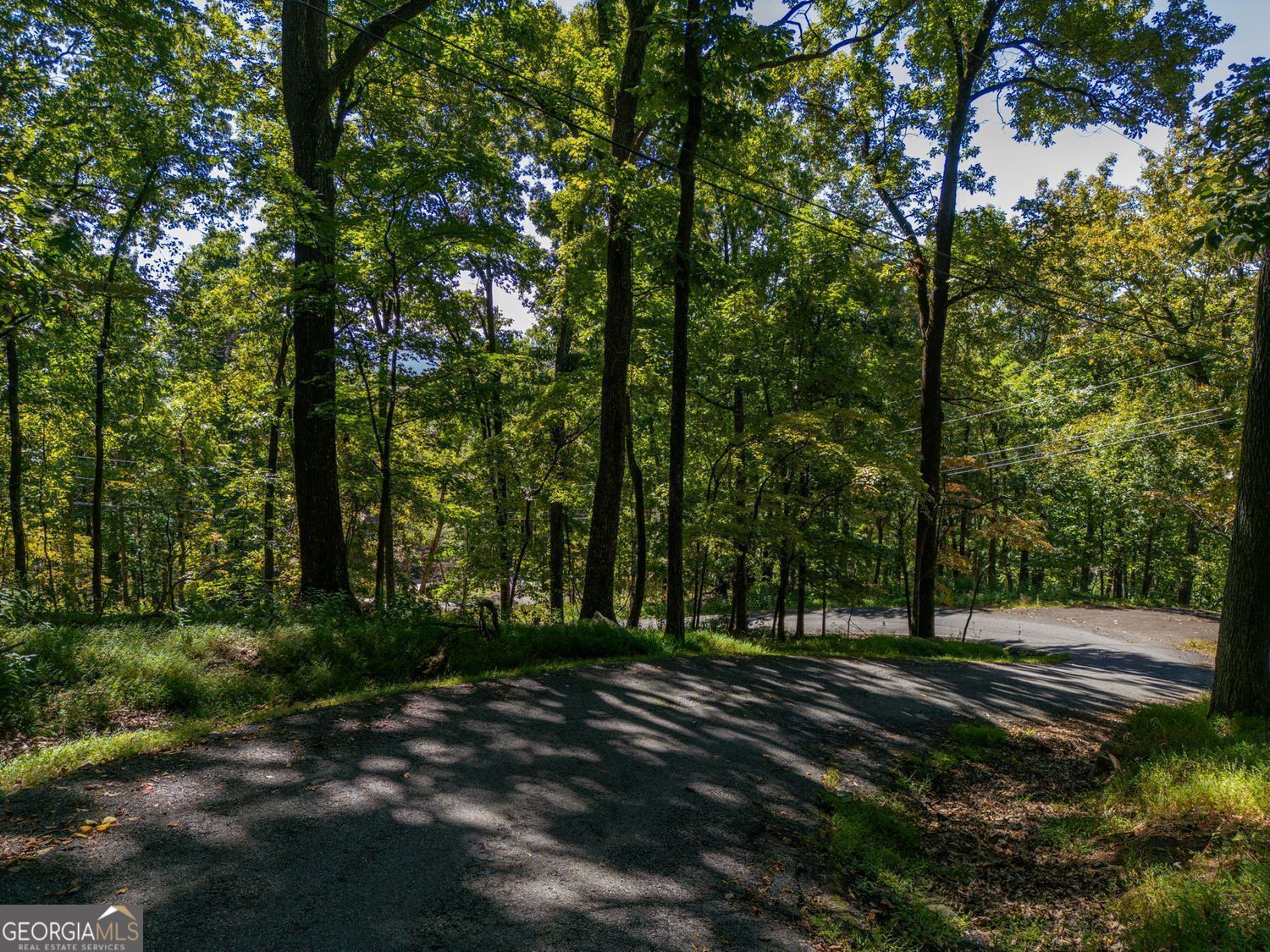 0 Valley View Vista Jasper, GA 30143 - Photo 3 of 14 a view of park